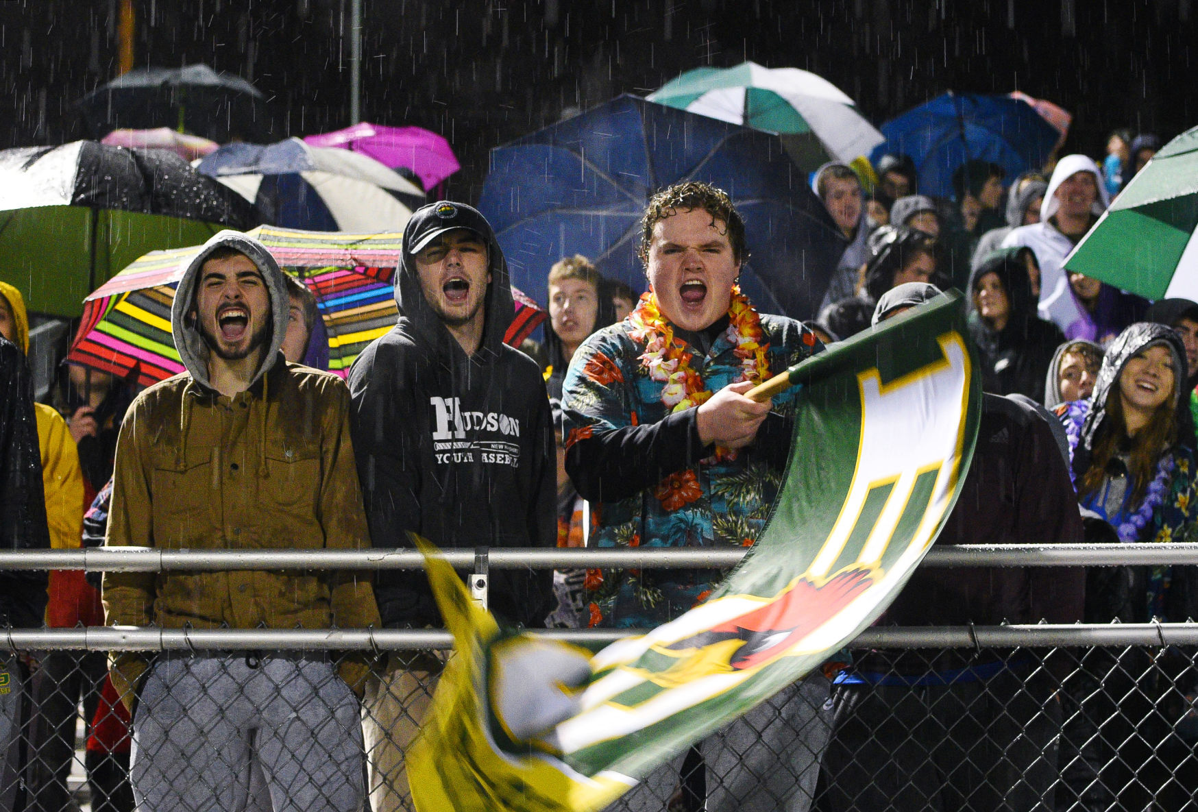 Scene Setter -- rain